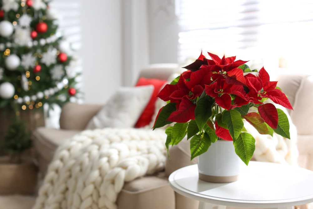 Winter Decorating Tips 